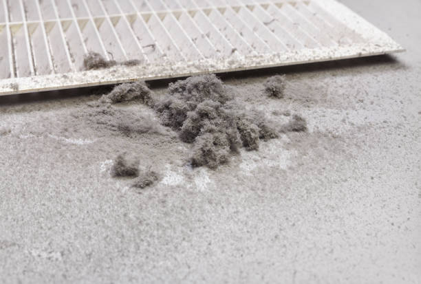Best Local Air Duct Cleaning Services  in St Paul, TX