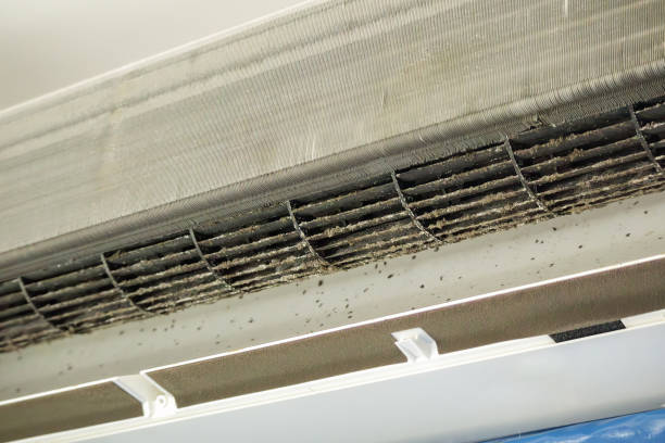 Best HVAC Duct Inspection Services  in St Paul, TX